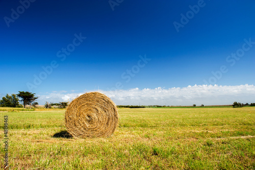 Photo: Bale hay in agriculture landscape Bale hay in agriculture landscape