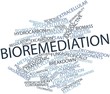 Word cloud for Bioremediation