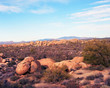 Desert Landscape