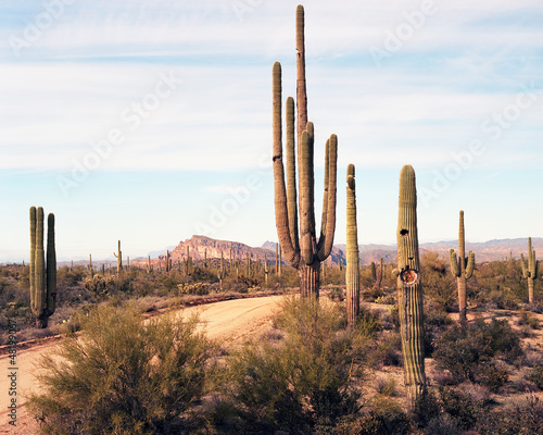 Photo: Desert Road Desert Road