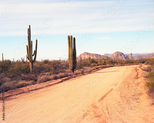 Photo: Desert Road Desert Road