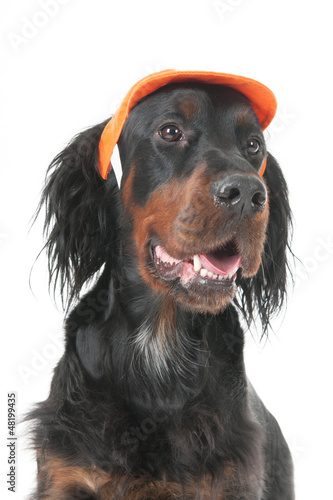 Photo: Dutch soccer dog Dutch soccer dog