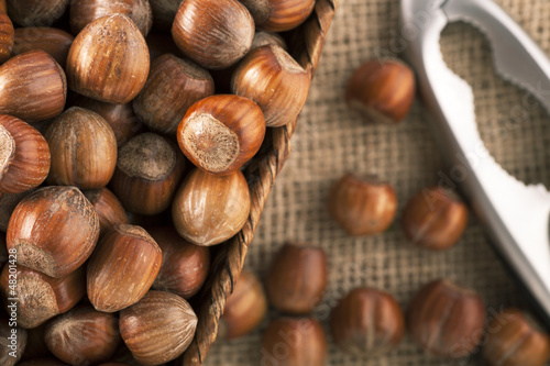 Photo: Whole Hazelnuts Whole Hazelnuts
