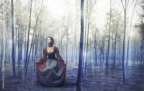 Photo: magical forest magical forest