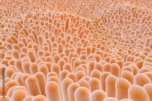 Illustration: Organic Microscopic Tissue Fibers Organic Microscopic Tissue Fibers