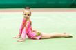 Photo: A little girl in the gym A little girl in the gym
