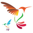 Hummingbird