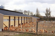 élevage de poulets
