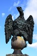 Ein Adler