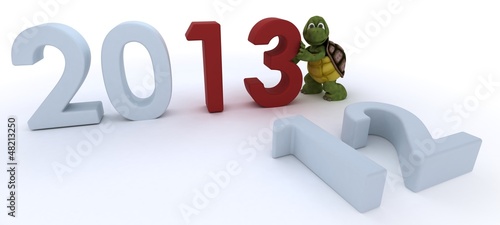 Illustration: tortoise bringing in the new year tortoise bringing in the new year