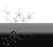Trauer Karte schwarz weiß Hintergrund Blumen
