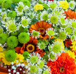 Floral background