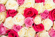 Bunch of roses