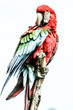 Photo: A blue and yellow macaw closeup A blue and yellow macaw closeup