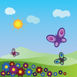 Flowers and butterflies
