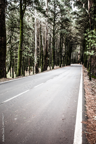 Photo: Open road on Tenerife.Road in beautiful landscape on Tenerife Open road on Tenerife.Road in beautiful landscape on Tenerife