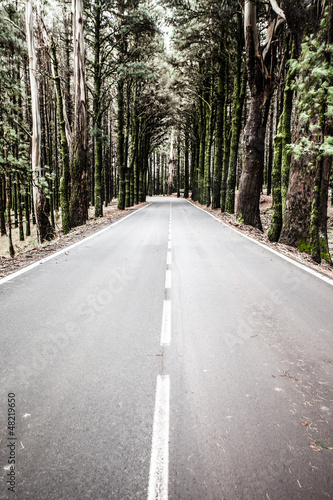 Photo: Open road on Tenerife.Road in beautiful landscape on Tenerife Open road on Tenerife.Road in beautiful landscape on Tenerife