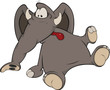 The elephant calf