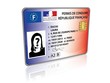 permis de conduire électronique 3D 2013