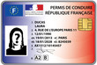 permis de conduire électronique 2013