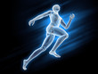 Illustration: Sport anatomy - runner Sport anatomy - runner