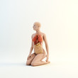 Illustration: Female anatomy Female anatomy
