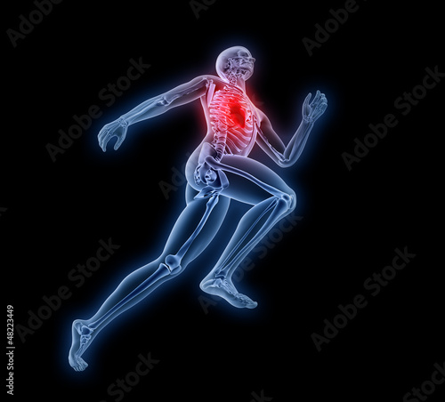 Illustration: Sport anatomy - runner Sport anatomy - runner