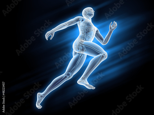 Illustration: Sport anatomy - runner Sport anatomy - runner