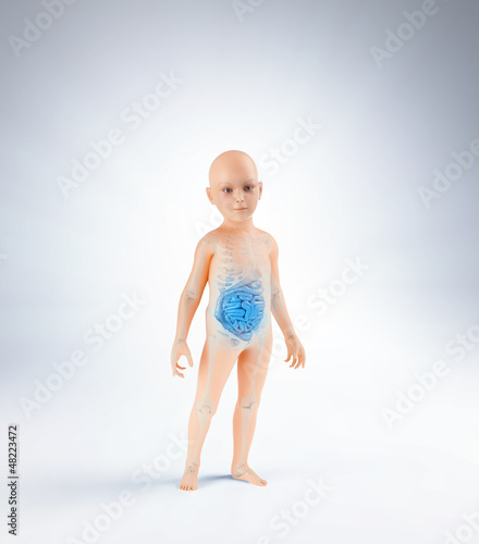Illustration: Children anatomy with digestive system Children anatomy with digestive system