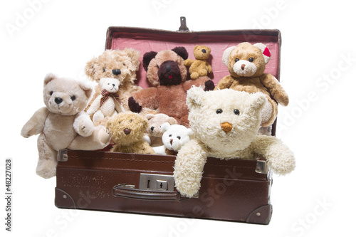 Photo: Teddybären - eine Freundschaft fürs Leben Teddybären - eine Freundschaft fürs Leben