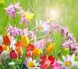 Frühlingserwachen