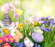 Happy Easter: Fröhlich-bunte Osterwiese