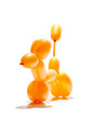 animal balloon action posed on white background