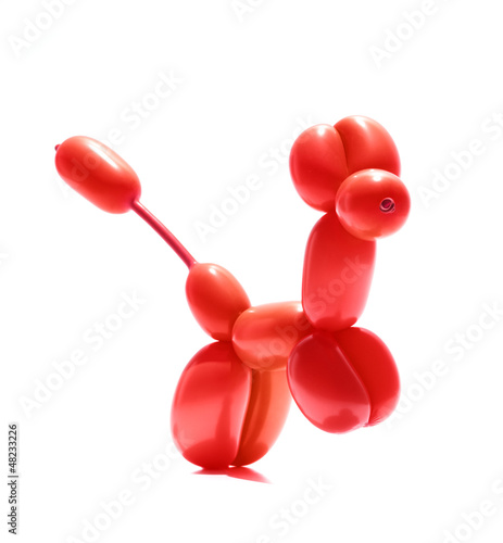 Photo: animal balloon action posed on white background animal balloon action posed on white background