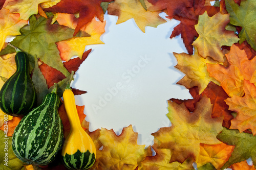 Photo: Fall Foliage Copy Space Fall Foliage Copy Space