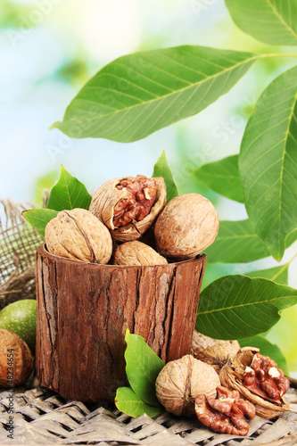 Photo: walnuts with green leaves in garden, on green background walnuts with green leaves in garden, on green background