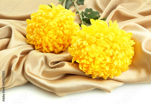 Photo: bouquet of bright yellow chrysanthemums flowers bouquet of bright yellow chrysanthemums flowers