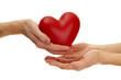 Red heart in woman and man hands, isolated on white