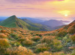 Beautiful summer landscape in the mountains. Sunrise