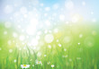 Vector of spring background, sky and grass.