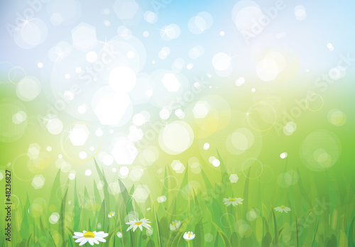 Vector: Vector of spring background, sky and grass. Vector of spring background, sky and grass.