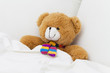 Teddy bear
