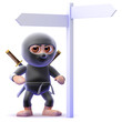 Ninja is at a signpost