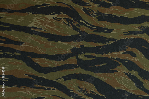 Photo: Thai police green tigerstripe camouflage fabric texture backgrou Thai police green tigerstripe camouflage fabric texture backgrou
