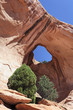 famous Bowtie Arch