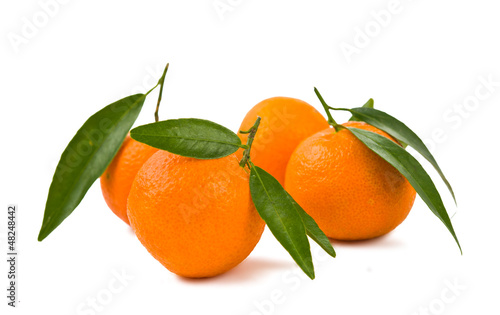 Photo: tangerines isolated tangerines isolated