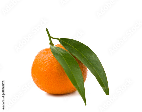 Photo: tangerines isolated tangerines isolated