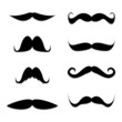 Set mustache on white background