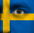 face with the Swedish flag painted on it