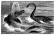 Prehistory : Ichtyosaurus & Plesiosaurus - Lias